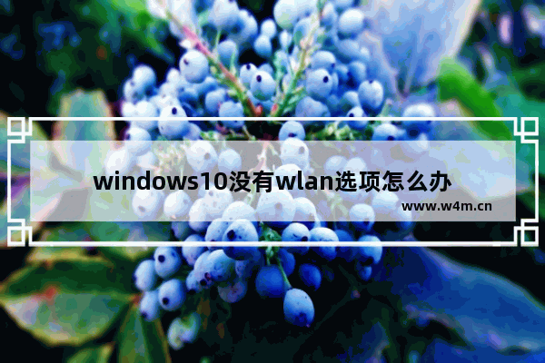 windows10没有wlan选项怎么办 windows10没有wlan选项解决办法