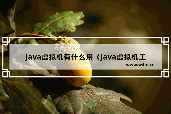 java虚拟机有什么用（Java虚拟机工作原理详解）