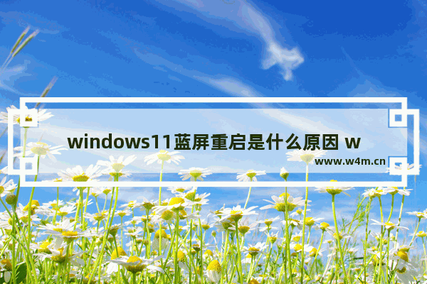 windows11蓝屏重启是什么原因 windows11蓝屏重启处理方法