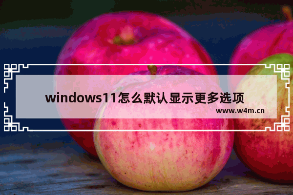 windows11怎么默认显示更多选项 windows11默认显示更多选项方法