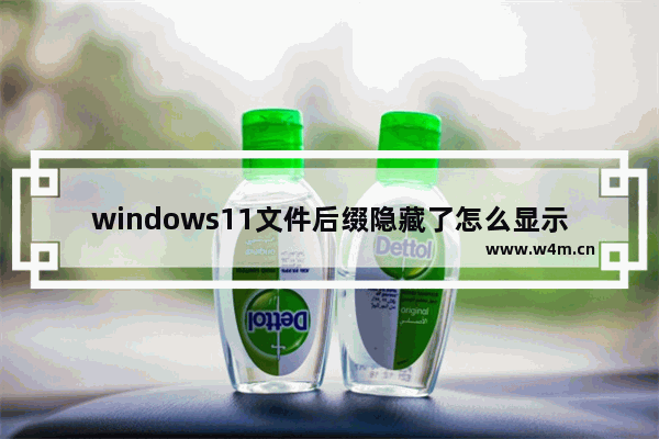 windows11文件后缀隐藏了怎么显示 windows11文件后缀隐藏了显示教程