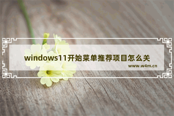 windows11开始菜单推荐项目怎么关闭 windows11开始菜单推荐项目关闭教程