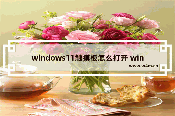 windows11触摸板怎么打开 windows11触摸板打开方法