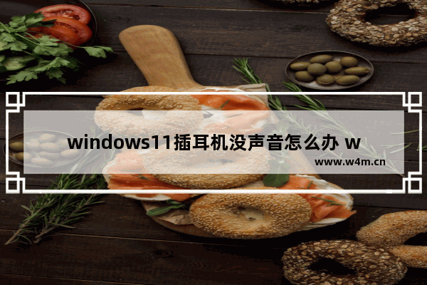 windows11插耳机没声音怎么办 windows11插耳机没声音解决办法