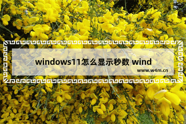 windows11怎么显示秒数 windows11显示秒数教程