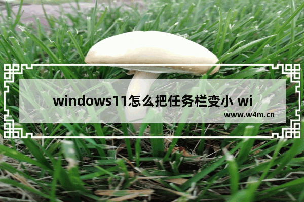 windows11怎么把任务栏变小 windows11把任务栏变小方法