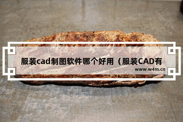 服装cad制图软件哪个好用（服装CAD有哪些软件系统）