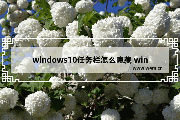 windows10任务栏怎么隐藏 windows10任务栏隐藏方法