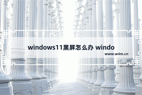 windows11黑屏怎么办 windows11黑屏解决办法