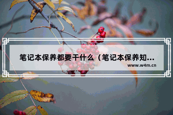 笔记本保养都要干什么（笔记本保养知识大全）