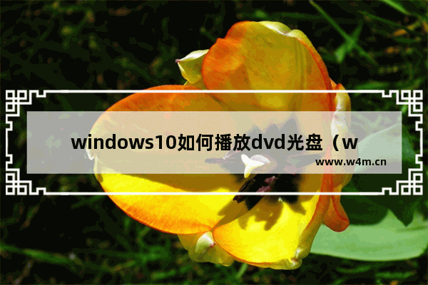 windows10如何播放dvd光盘（windows10光盘播放要装什么软件）