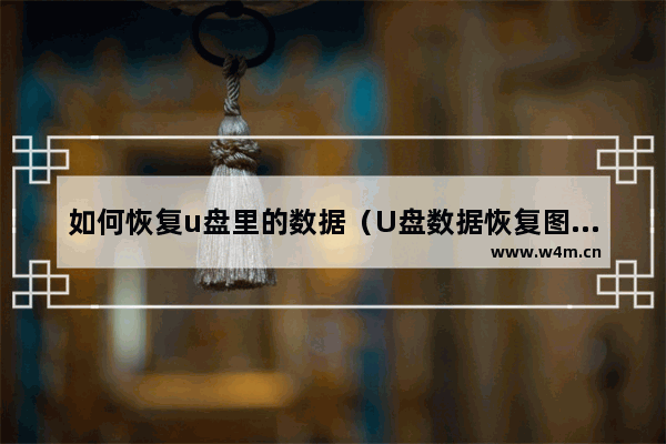 如何恢复u盘里的数据（U盘数据恢复图文教程）