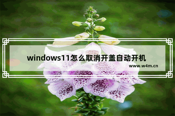 windows11怎么取消开盖自动开机 windows11取消开盖自动开机教程