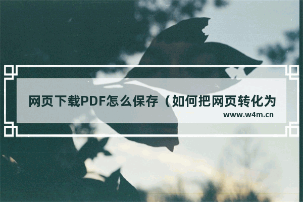 网页下载PDF怎么保存（如何把网页转化为pdf）