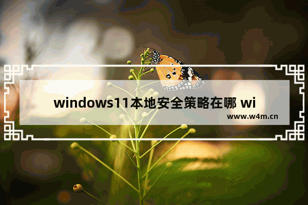 windows11本地安全策略在哪 windows11本地安全策略位置介绍