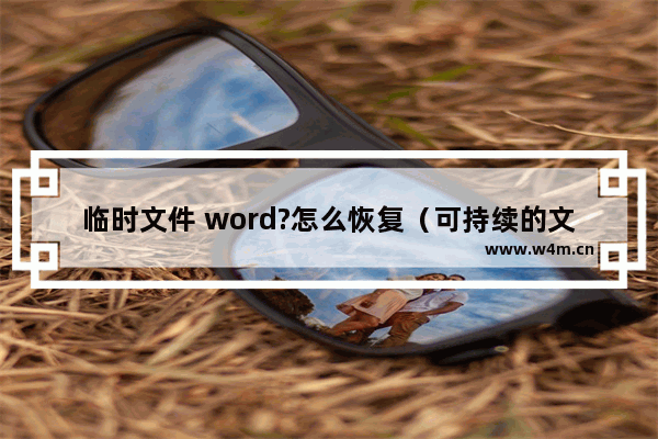 临时文件 word?怎么恢复（可持续的文件恢复方法）