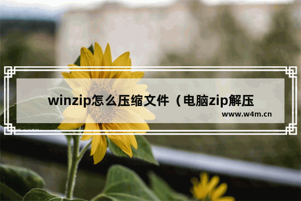 winzip怎么压缩文件（电脑zip解压后乱码怎么办）