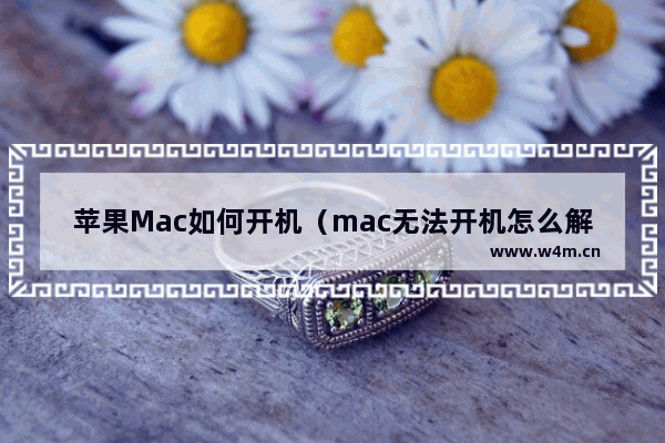 苹果Mac如何开机（mac无法开机怎么解决）