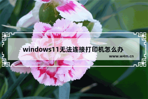 windows11无法连接打印机怎么办 windows11无法连接打印机解决办法