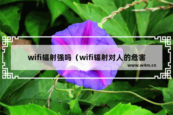 wifi辐射强吗（wifi辐射对人的危害有多大）