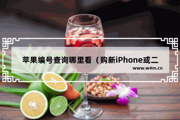 苹果编号查询哪里看（购新iPhone或二手iPhone通用指南）