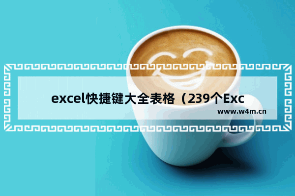 excel快捷键大全表格（239个Excel快捷键大全）