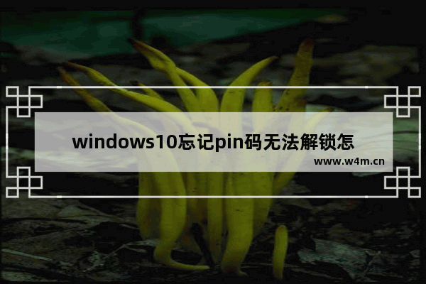 windows10忘记pin码无法解锁怎么办 windows10忘记pin码无法解锁解决办法