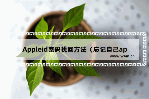 Appleid密码找回方法（忘记自己apple id的密码了怎么办）