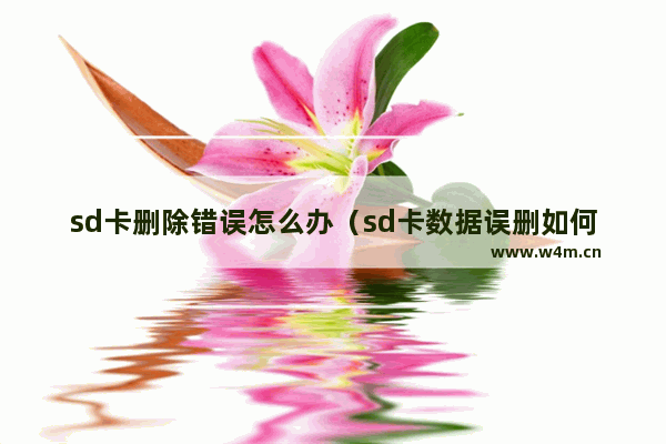 sd卡删除错误怎么办（sd卡数据误删如何免费恢复）