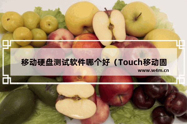 移动硬盘测试软件哪个好（Touch移动固态硬盘测评）