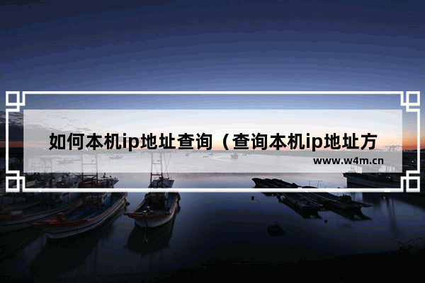 如何本机ip地址查询（查询本机ip地址方法大全）