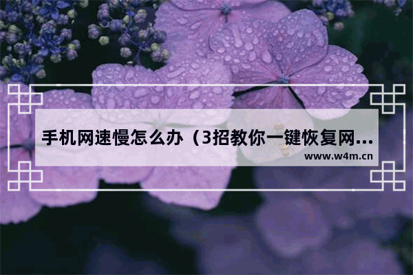 手机网速慢怎么办（3招教你一键恢复网络）