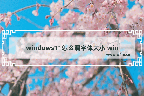 windows11怎么调字体大小 windows11调字体大小方法