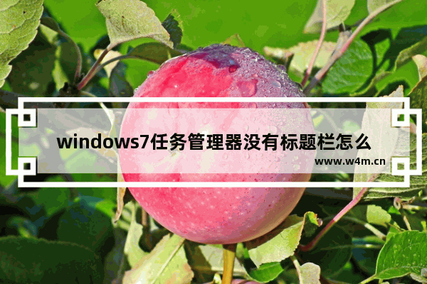 windows7任务管理器没有标题栏怎么办 windows7任务管理器没有标题栏解决方法