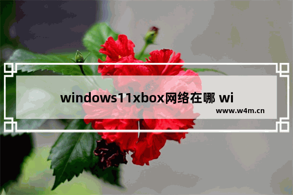 windows11xbox网络在哪 windows11xbox网络位置介绍