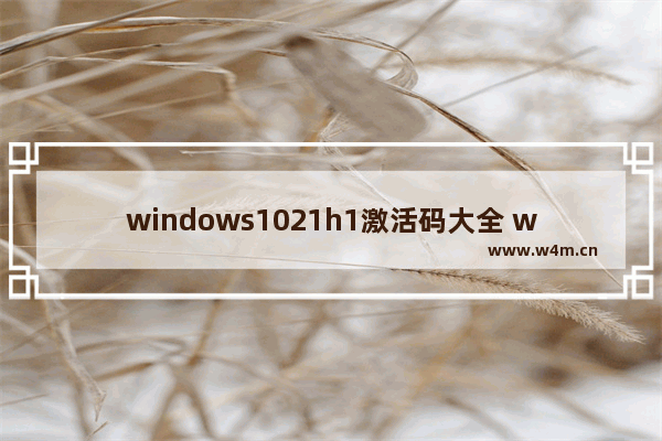 windows1021h1激活码大全 windows10 21h1激活密钥最新