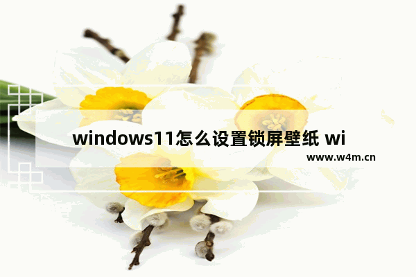 windows11怎么设置锁屏壁纸 windows11设置锁屏壁纸方法