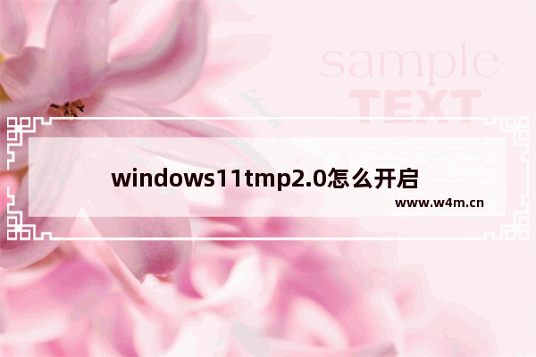 windows11tmp2.0怎么开启 windows11tmp2.0开启方法