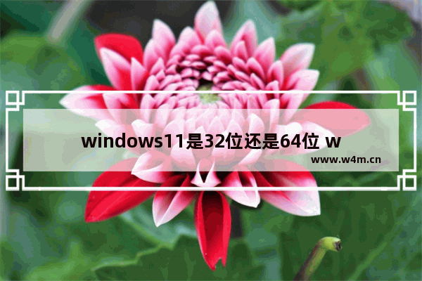 windows11是32位还是64位 windows11查看是32位还是64位方法