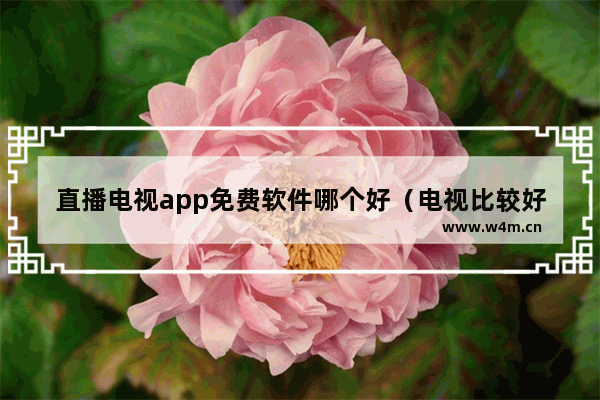 直播电视app免费软件哪个好（电视比较好用的免费直播软件）