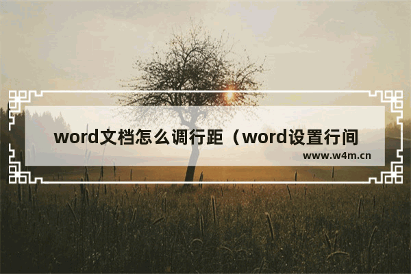 word文档怎么调行距（word设置行间距有几种方法）