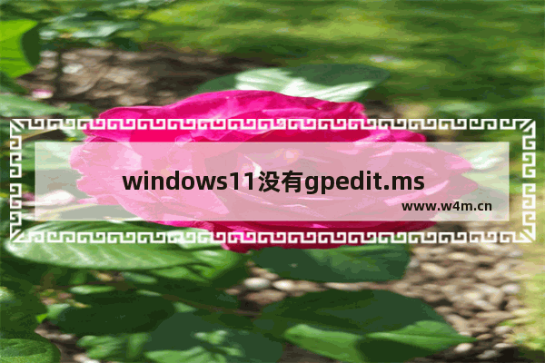 windows11没有gpedit.msc怎么办 windows11没有gpedit.msc解决办法