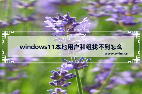 windows11本地用户和组找不到怎么办 windows11本地用户和组找不到解决办法