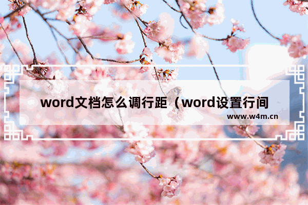 word文档怎么调行距（word设置行间距有几种方法）