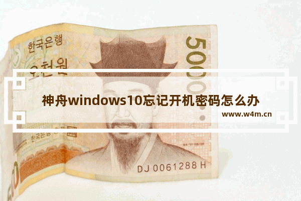 神舟windows10忘记开机密码怎么办 神舟windows10忘记开机密码解决办法