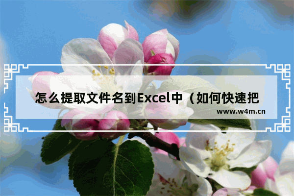 怎么提取文件名到Excel中（如何快速把文件名批量导入excel）