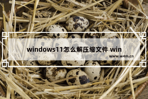 windows11怎么解压缩文件 windows11解压缩文件方法