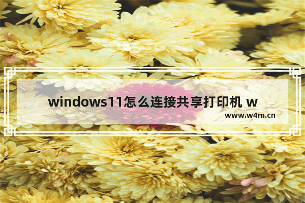 windows11怎么连接共享打印机 windows11连接共享打印机方法