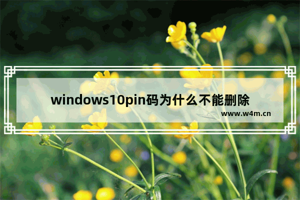 windows10pin码为什么不能删除 windows10pin码不能删除解决办法