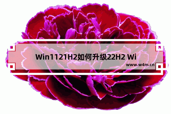 Win1121H2如何升级22H2 Win1121H2升级22H2详细方法